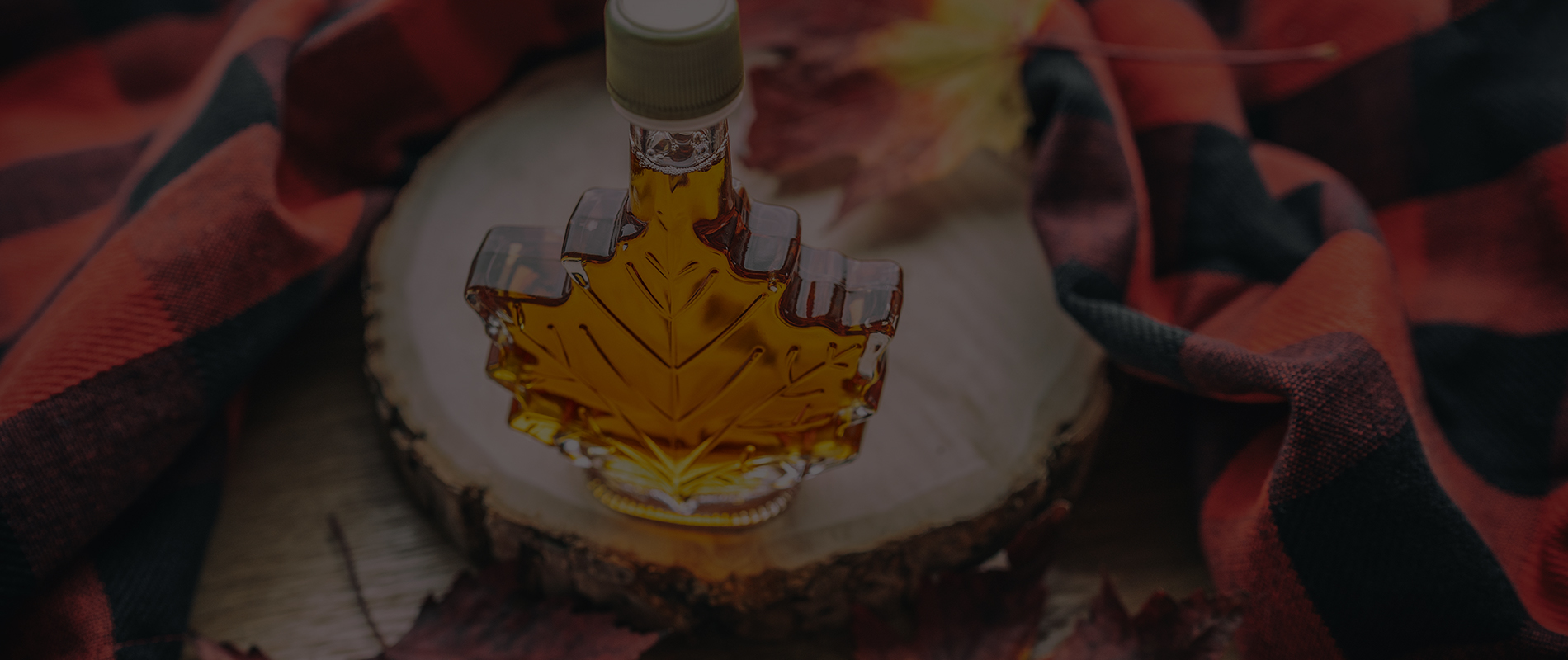 Making a Difference Elmvale Maple Syrup Festival