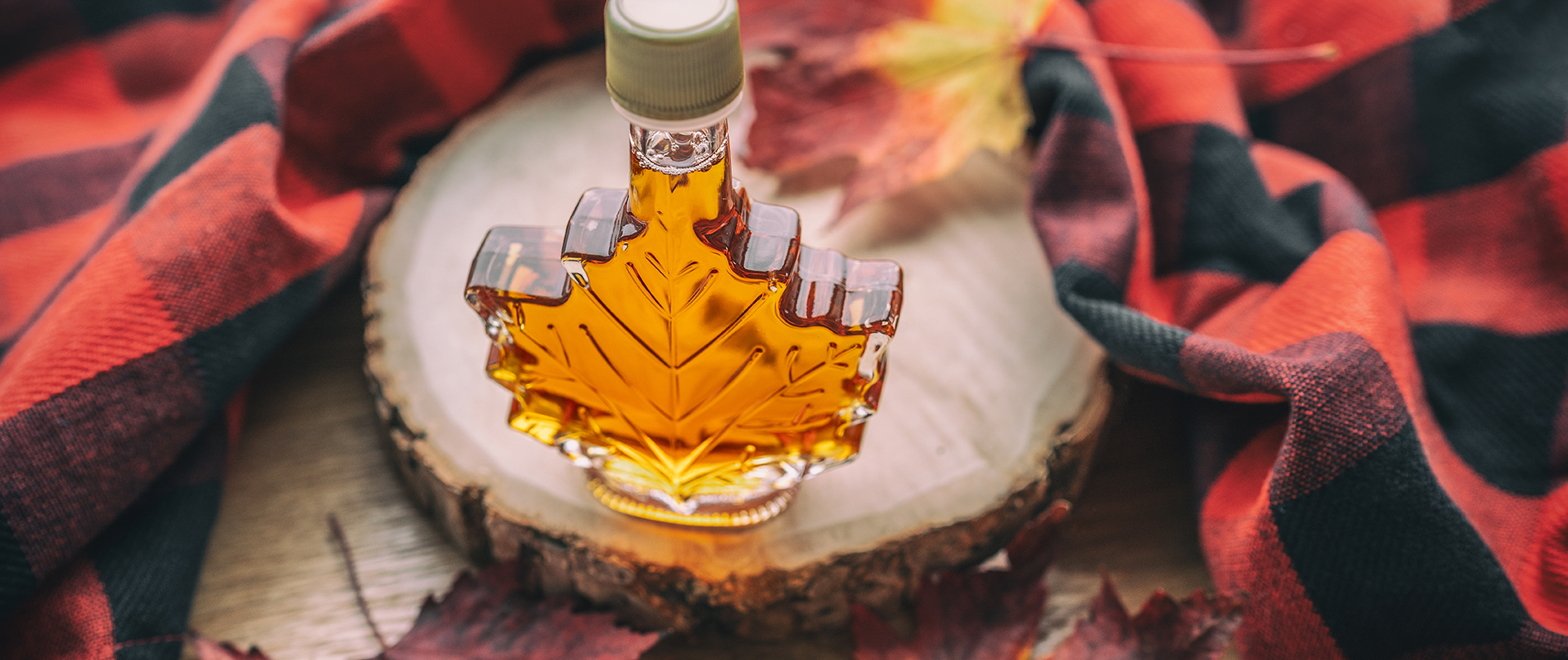 Elmvale Maple Syrup Festival