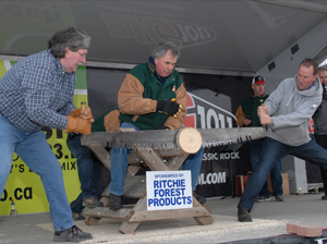 log sawing 1